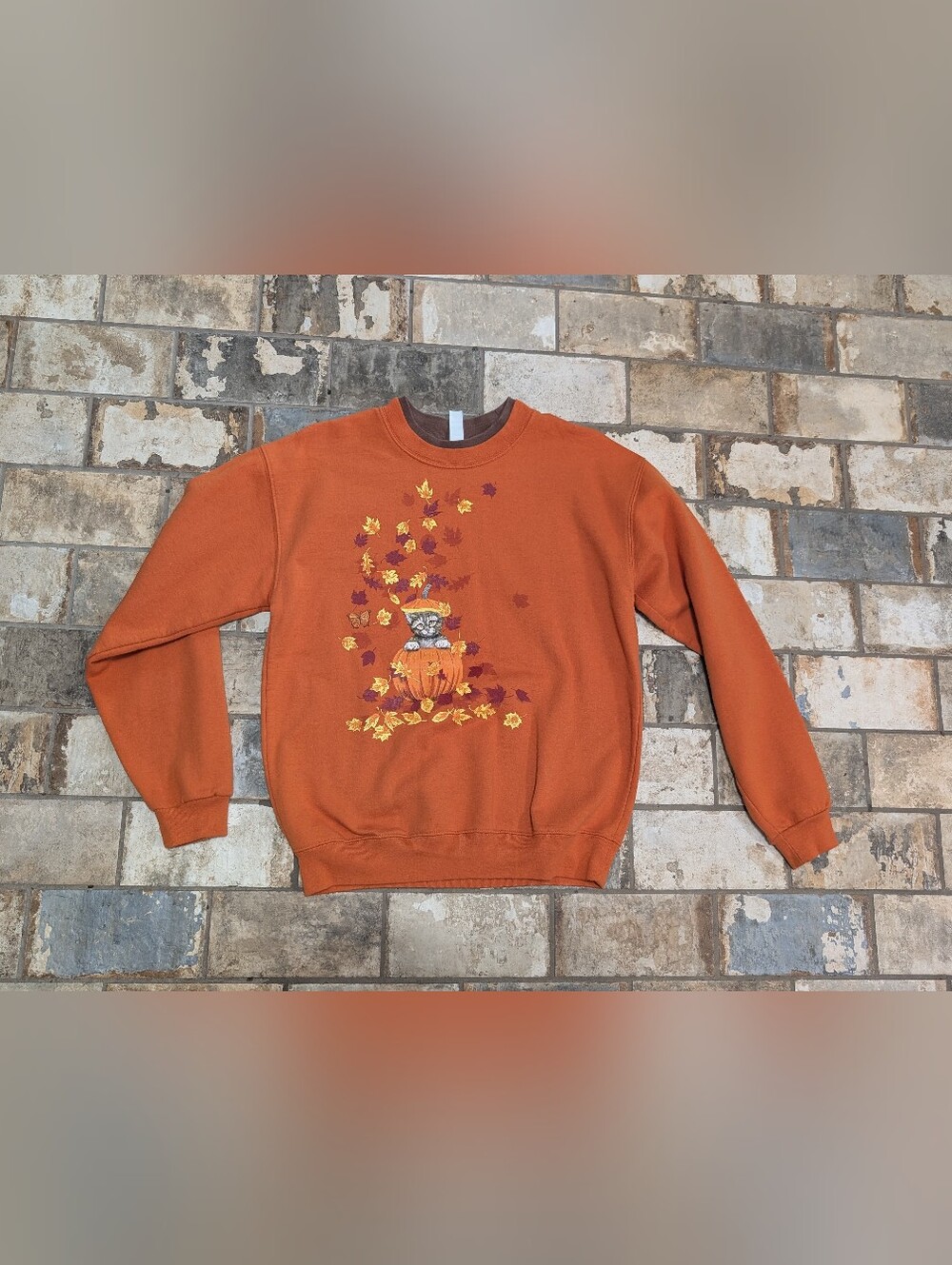 Endless Design Burnt Orange Kitten in Pumpkin Fall Graphic Sweatshirt - Small